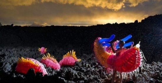 مخلوقات غريبة مصنوعة من بالونات ( صور )